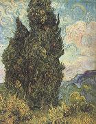 Vincent Van Gogh, Cypresses (nn04)